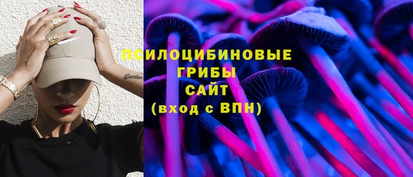 скорость Белокуриха